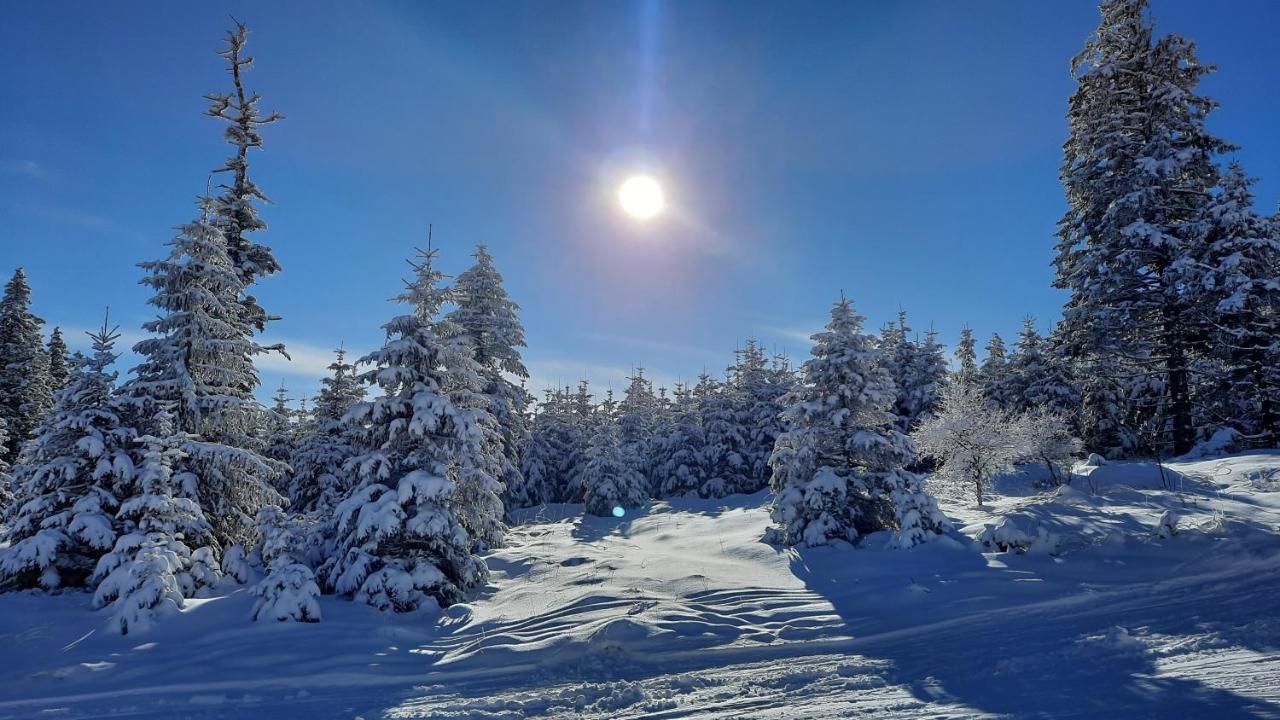 Belle Air Lodge Mönichkirchen Zewnętrze zdjęcie